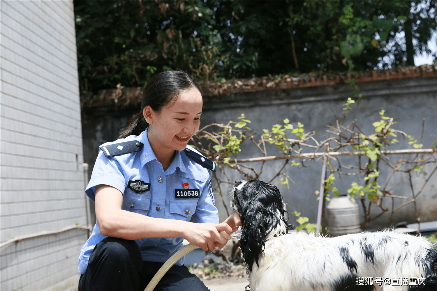 警花为警犬清洁降暑
