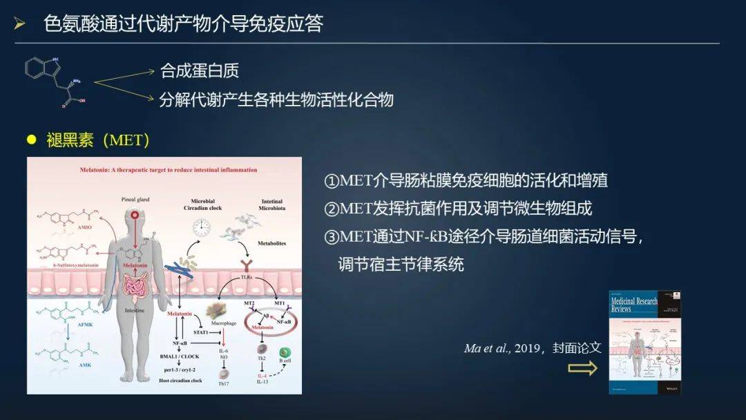 马曦23分钟详解替代抗生素促进肠道健康的三大武器