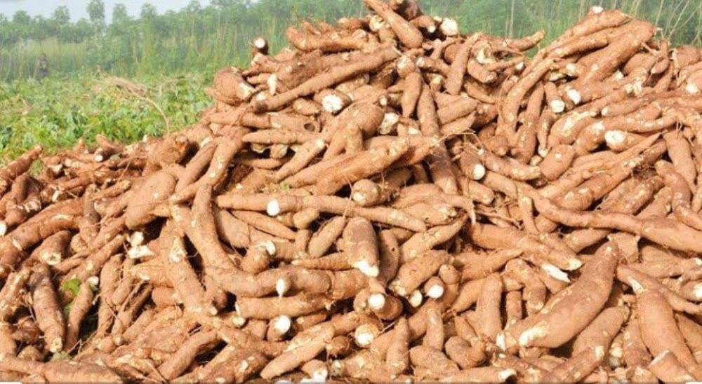 柬埔寨2025年GDP_柬埔寨2014年100纸币(2)