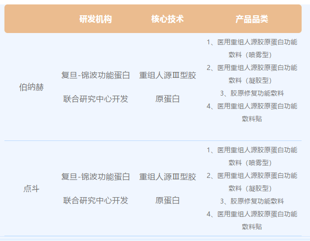 知识科普|异卵同生双胞胎？伯纳赫和点斗那些不为人知的密码