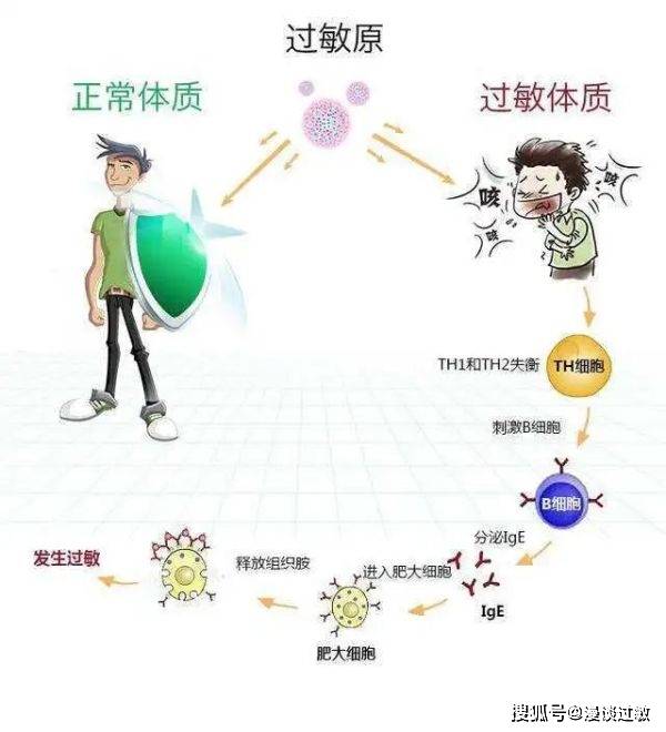 上海gdp这几年增长好慢_中国近几年gdp增长图(3)