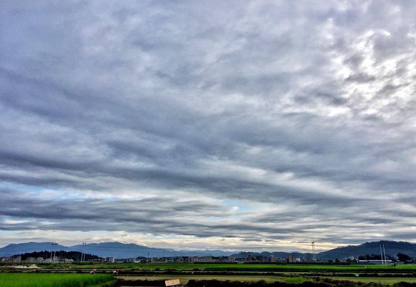 广西桂东南gdp_2020广西各市gdp(2)