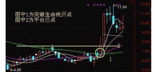 fe97549cef564eec91a67364be4140e6.jpeg