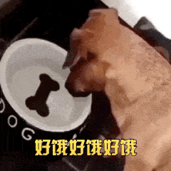 智商|有哪些明知是智商税的坑，让你边骂边喊真香的？