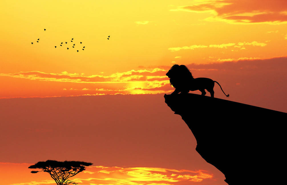 怎样让自己变得更有能量 eb7038fd924a43f29b91574cc0d467e9.jpeg