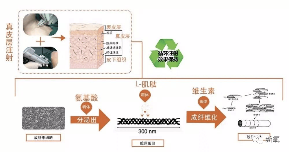 高大壮|一直被diss高大壮的关晓彤暗戳戳动了这里，突然仙到飞起！