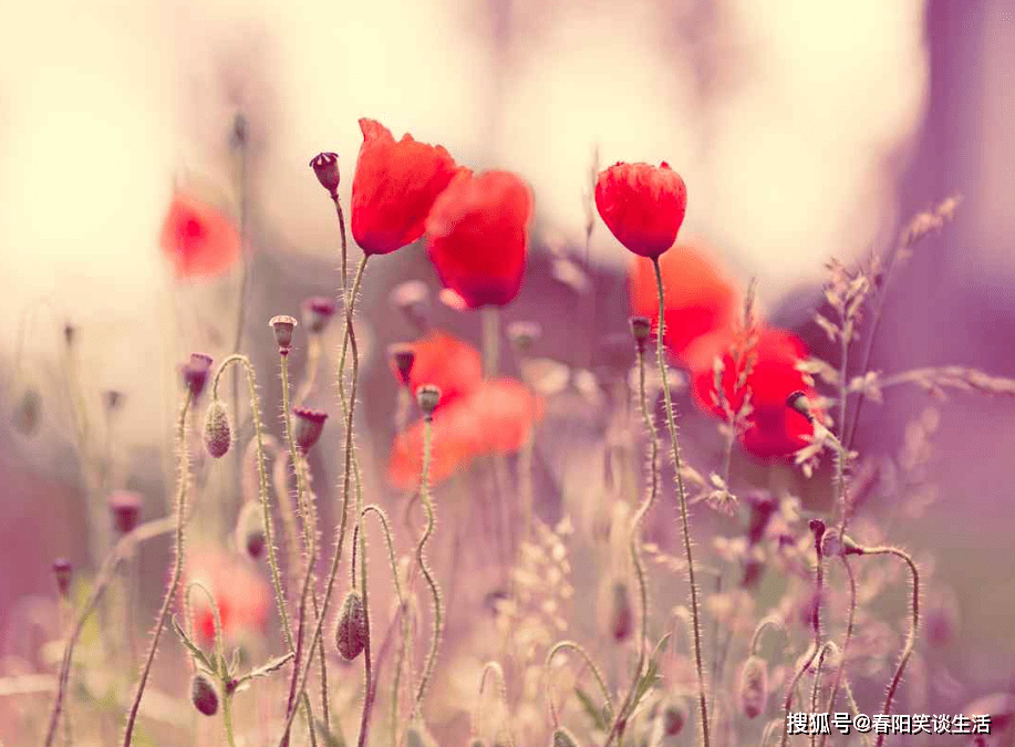 5f44afaa88bd4aa6afe087ea88abb2b0.png