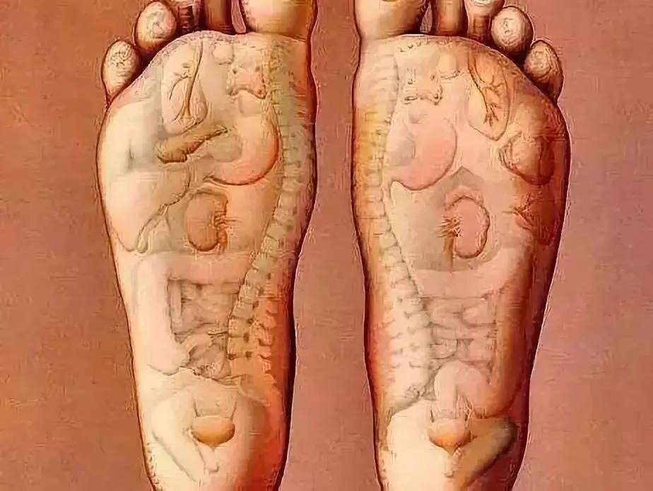 在我国古代,中医通过内观内证发现:人筋的根部在脚部,治病要治根,养生
