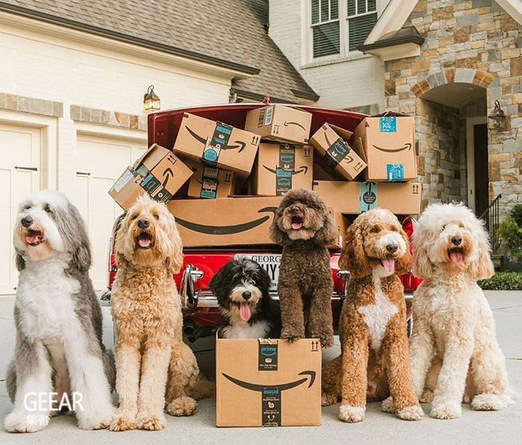 亚马逊|逆势下业绩狂涨，亚马逊将新增3500个职位！