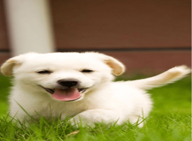 f05ef87a23a84b2c94359023de5d5319.png