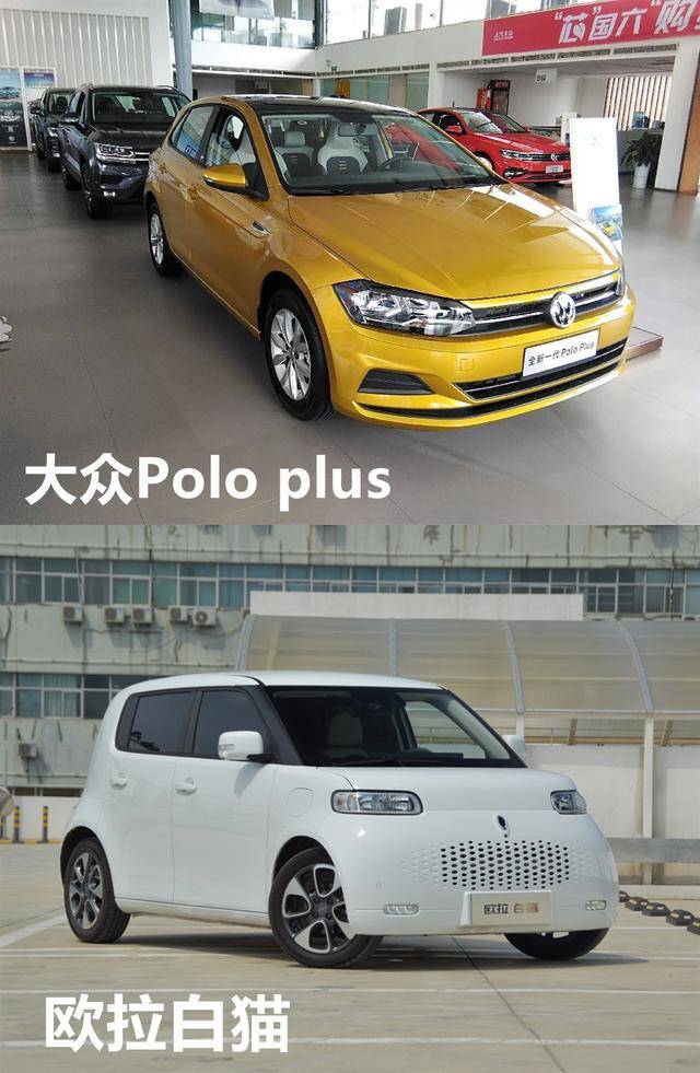 欧拉白猫因何圈粉后浪 对比大众polo plus后懂了