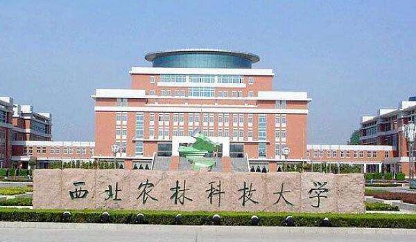 科技大学有什么特点 bb8d0665d43f4c6895f80f283b457cea.jpeg