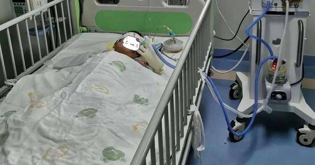 4岁男童18楼坠落奇迹生还全身多处骨折