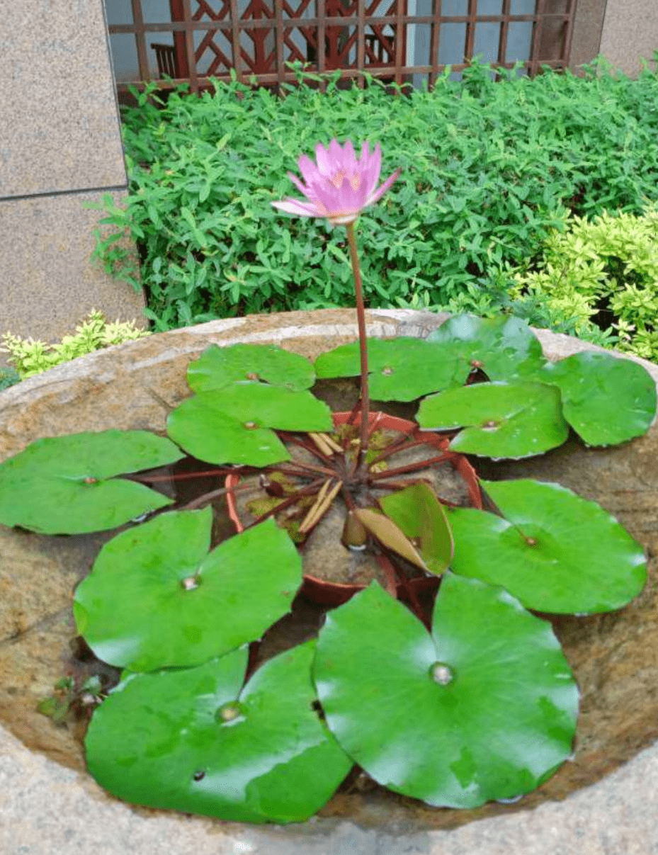 长沙市2020年半年度g_长沙市地图六区全图