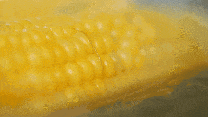 8bd95e7b55bc488a8f2f9912f0e3f096.gif