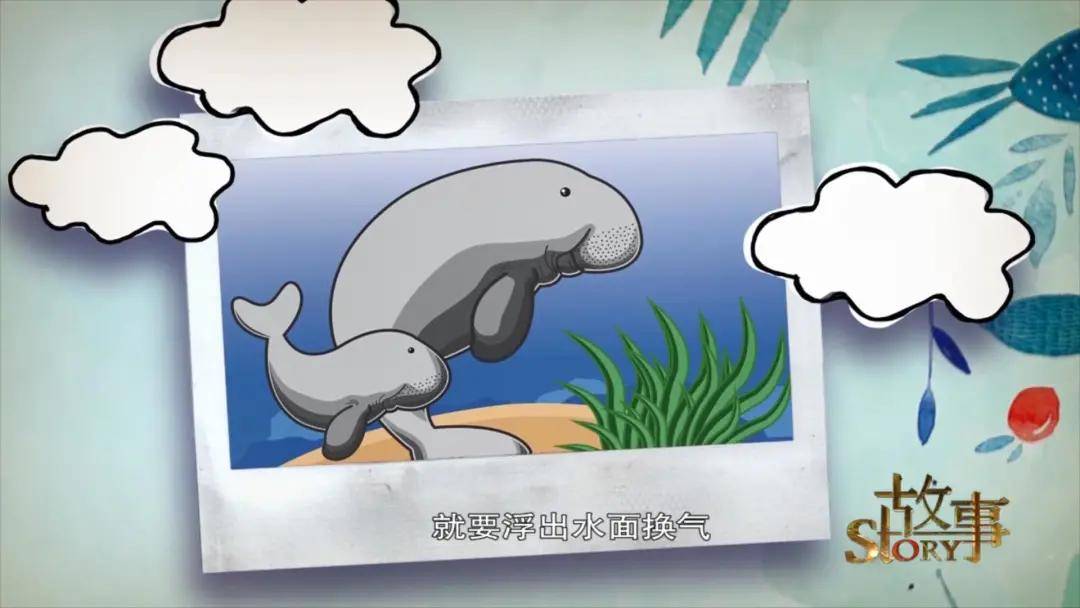 彭阳|你没见过的“东方美人鱼” 穿越时空的她出土于宁夏彭阳
