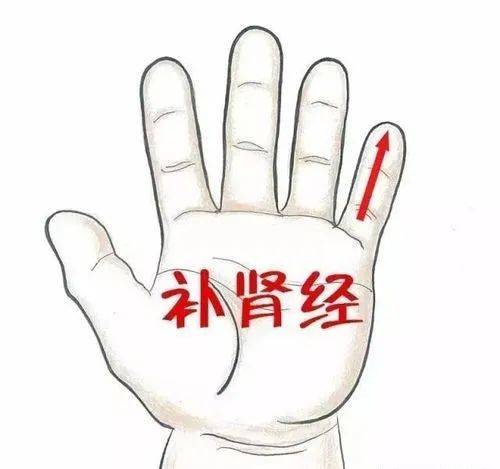 孩子|宝宝夜间盗汗怎么办？——湘曦源