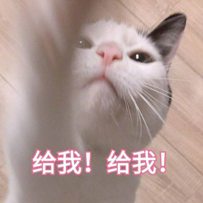 最新表情包图片我问你哦你到底乖不乖