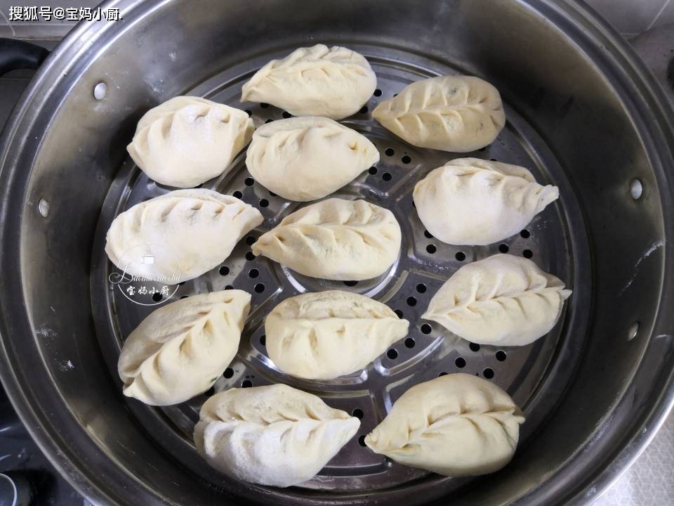 什么菜适合做菜包子 9f344519deeb40f4b96038f67258106c.jpeg