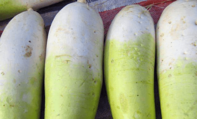 怎样晒萝卜干好吃窍门 b118b82422cf40a1a9fa6dc369e14061.png