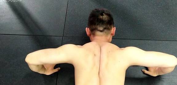 饱满的胸肌照片 22fff4cd098c4475a67cd97c188a0fc5.jpeg
