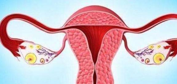 什么时候检查卵巢功能 493245da65804079a7e461c0e3f972b7.jpeg