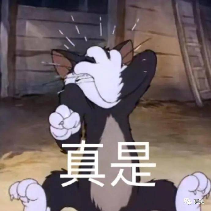 刘海|当毛发都在伪造的鞠婧祎失去刘海，场面瞬间窒息！