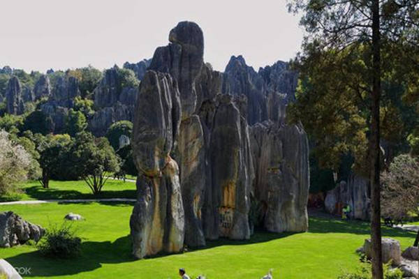 昆明市石林风景区