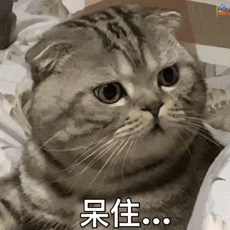 婆婆|第一个就中招了带娃路上的这7个坑