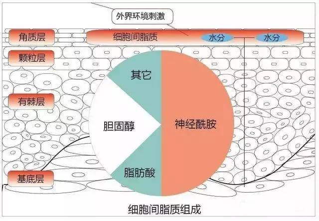 气球|欧阳娜娜这身材缩水也太厉害了！气球放气都没这么快吧...
