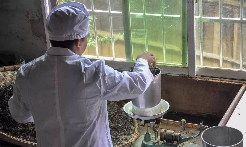 铁桶|【入门干货】普洱茶压饼工艺详解