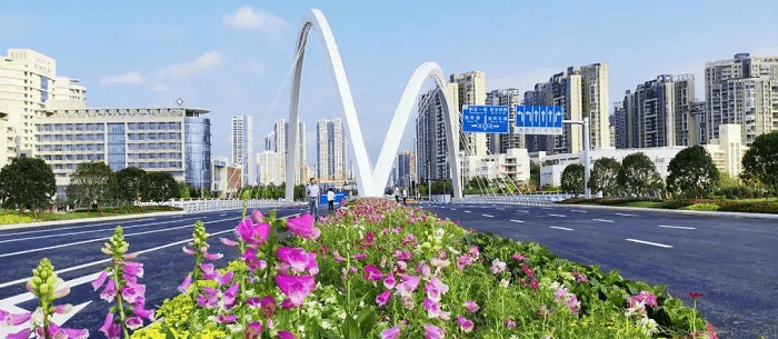 深圳40岁生日，岭南股份以建设者的姿态致敬这座城