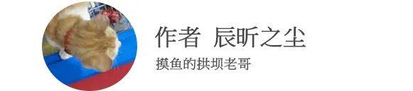 怛罗斯之战后阿拉伯止步葱岭，是谁保卫西域佛国
