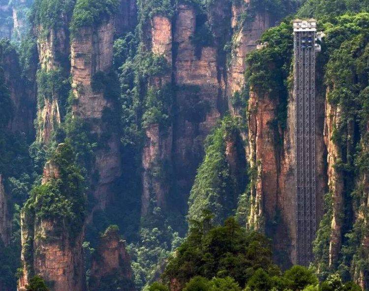 2020年帝奥电梯排名_十大电梯品牌排名出炉!给大家参考!(2)