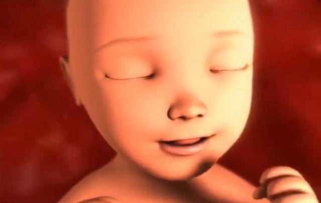 275bdda223dc465c8bfa3ee0f85e6df7.jpeg