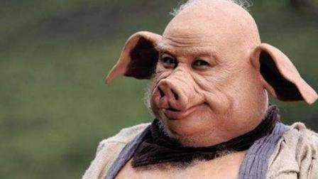 观音|猪八戒为何从不召唤土地，观音的一句话道明原因