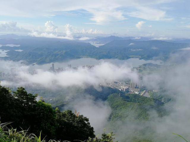 实拍深圳梧桐山云海,太美了,我有点不敢相信我看到的