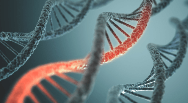 癌症没有基因突变好吗 e9f1d93b48d2480fa904095b06066d41.png