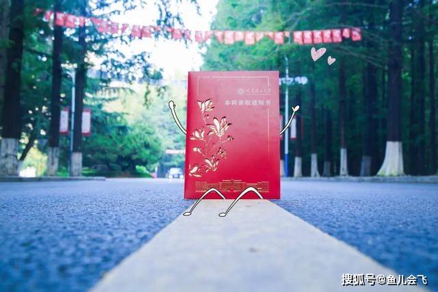 消息资讯|多地500分不到上辽宁最牛大学，大连理工大学2020年录取分数线全部出炉