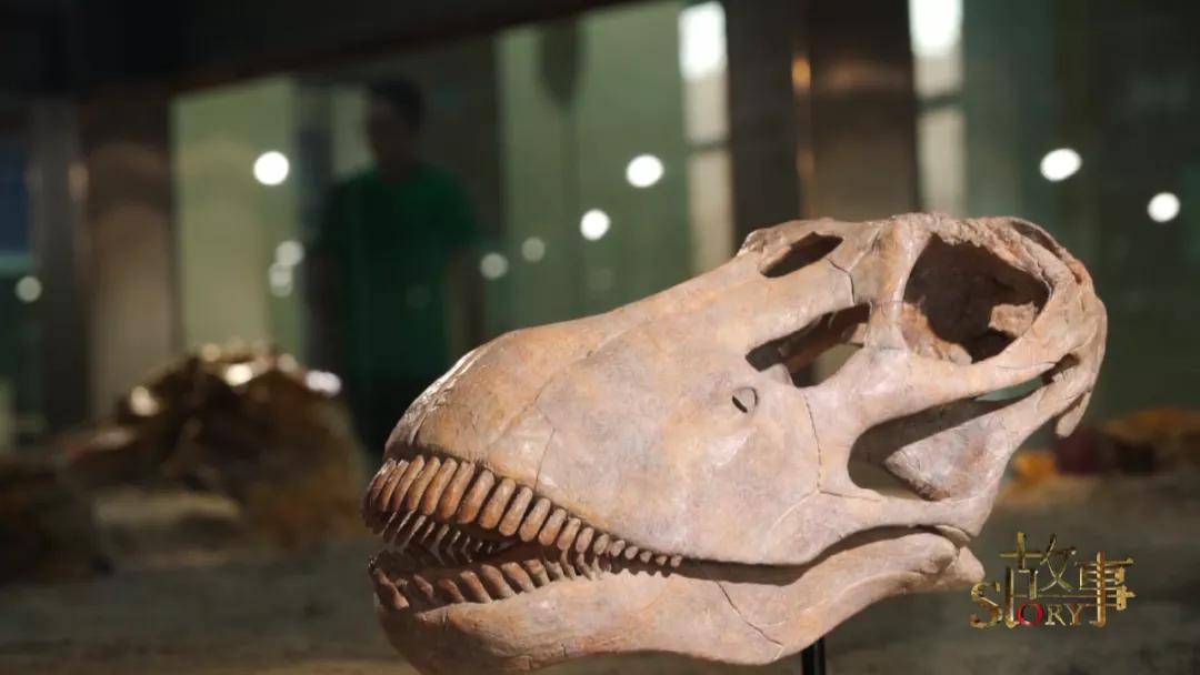 中国|中国“神奇灵武龙”,究竟因何而神奇？