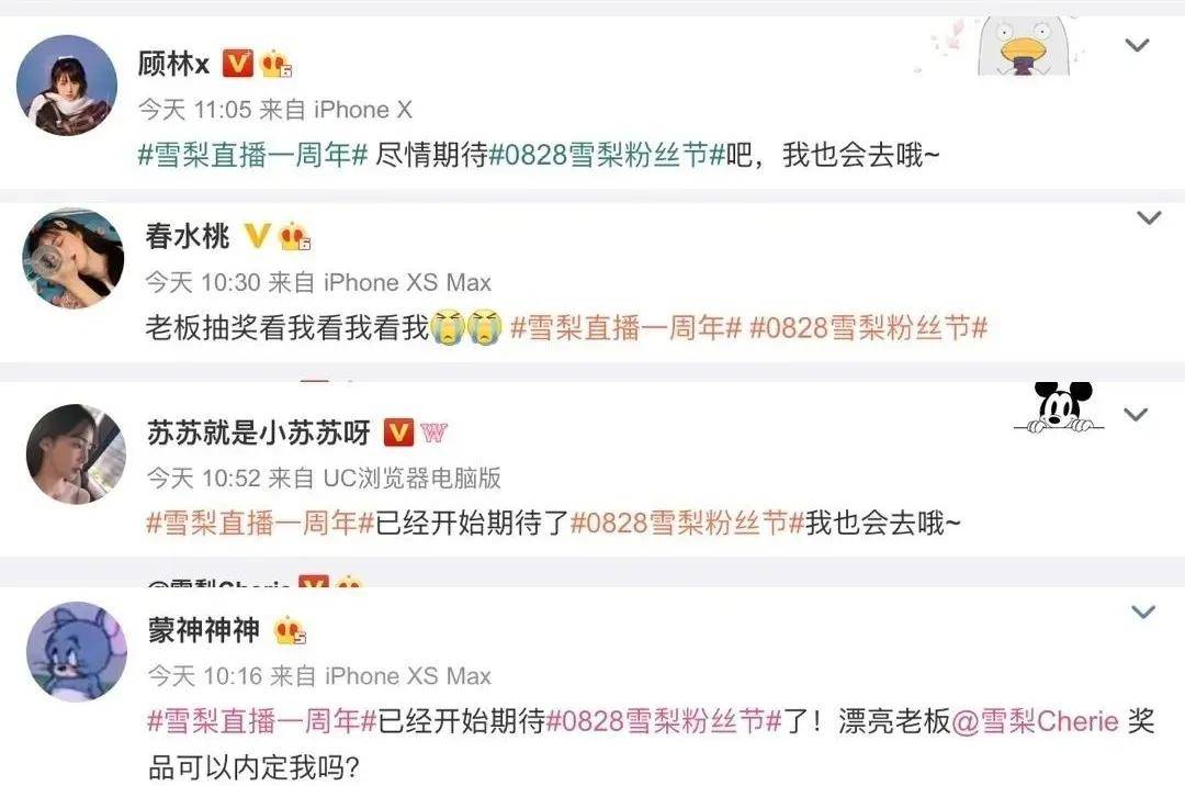 人马|一场粉丝节撬动网红圈大半人马,雪梨到底有什么魅力?