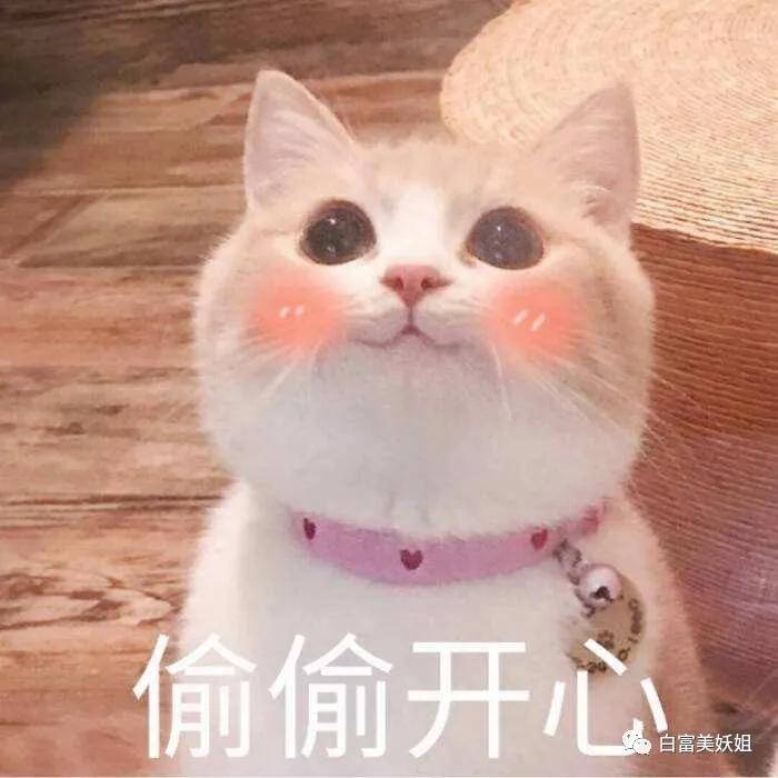 阿四|B站学霸网红靠一张脸赚百万，还让50w人酸她的爱情…