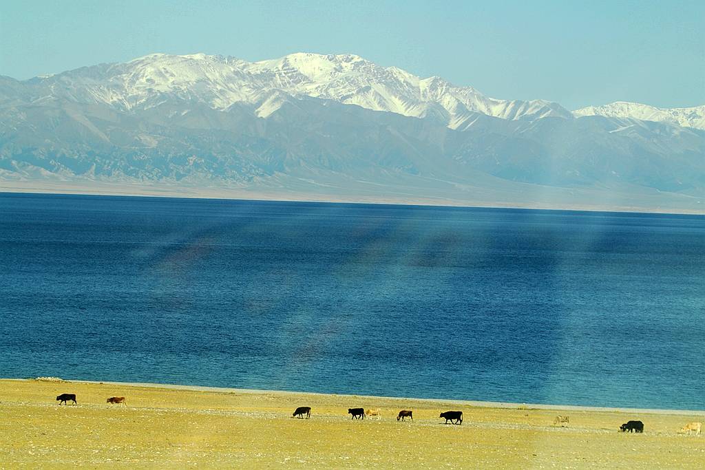 赛里木湖最新状况今天能进吗 9a4bf9753cd54ccc995bc4b547ce0885.jpeg