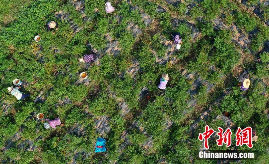 湖南衡东人口_湖南衡东照片(3)