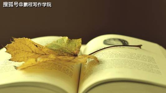 d3c1f8af998c42ef84f29cfe6a8a3621.jpeg