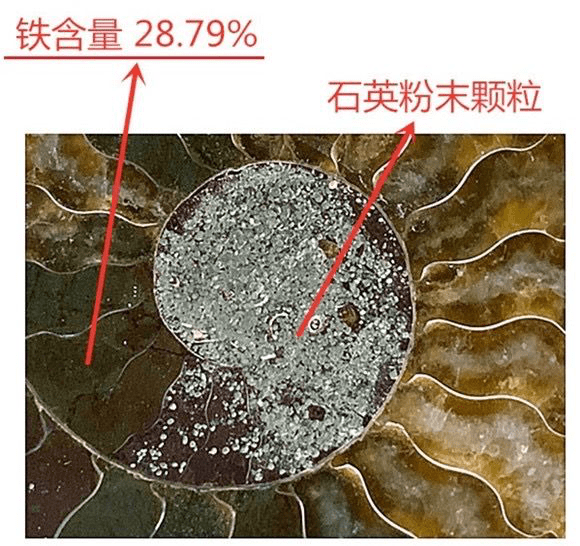 11aacb91375b44258659cae462554ba4.png