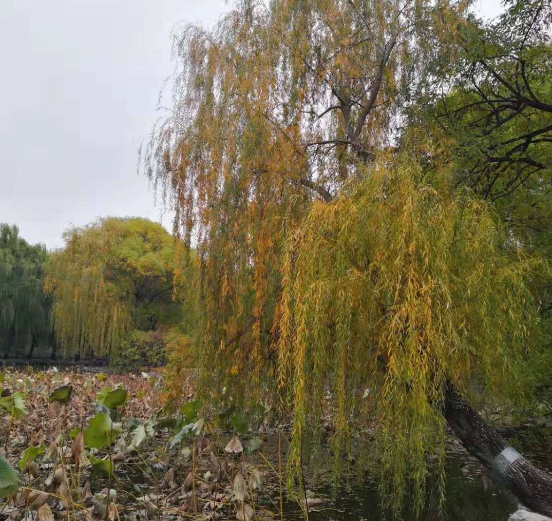 研究生|本科生研究生工资对比，研究生能多多少？