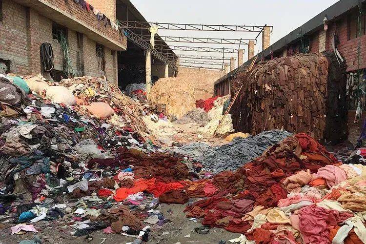 毛皮|不应随意“丢弃”的时尚