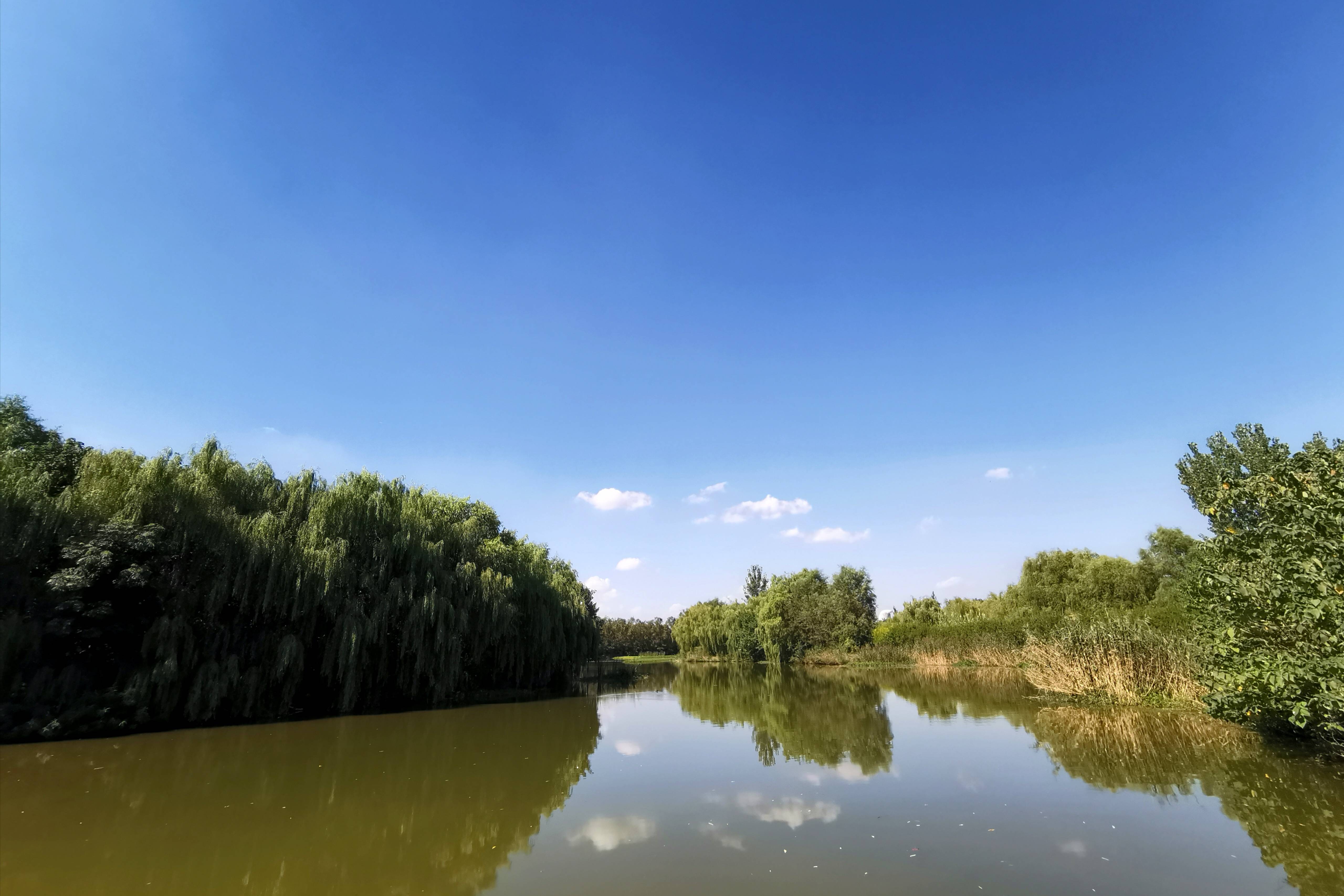 浐灞(|西安蓝里的浐灞，鹭鸶嬉戏，花草灿阳，留下湿地美幻时光