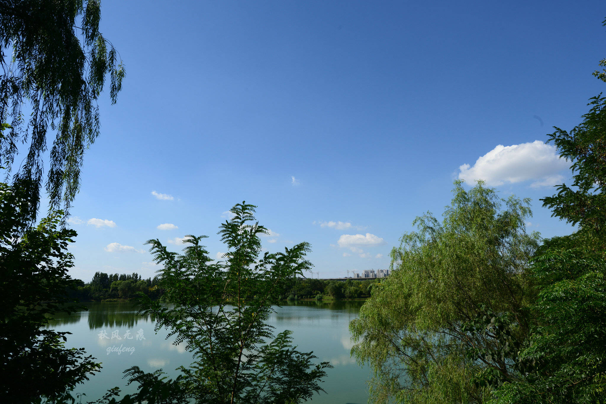 浐灞(|西安蓝里的浐灞，鹭鸶嬉戏，花草灿阳，留下湿地美幻时光
